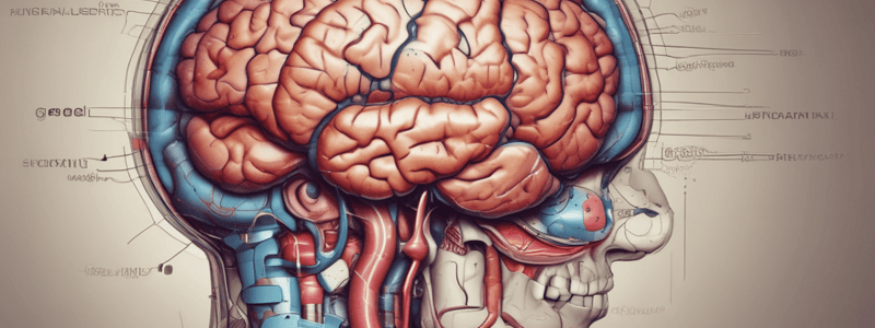 CNS Pathology: Intracranial Space-Occupying Lesions