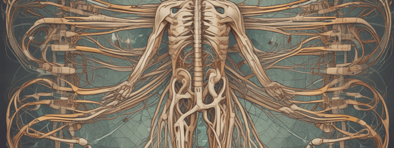 pathophys2 final: Autonomic Nervous System ppt