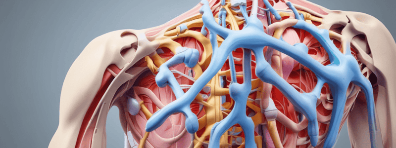 Orthopaedic Special Tests for the Shoulder