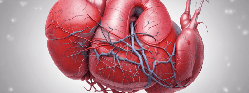 Cardiovascular Disease and Hypertension Overview