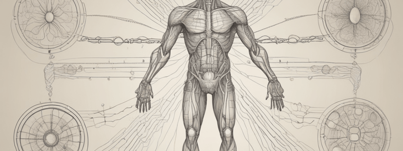 Homeostasis and Control Systems in the Human Body