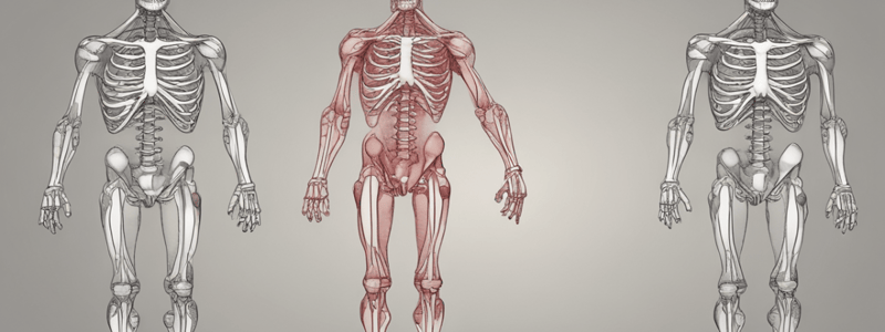 Posterior Thigh Compartment Anatomy