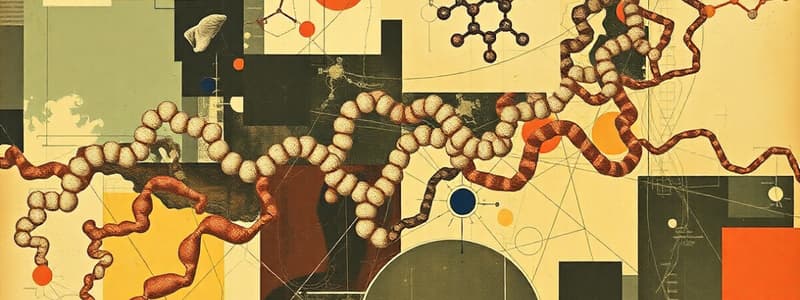 Amino Acids Overview