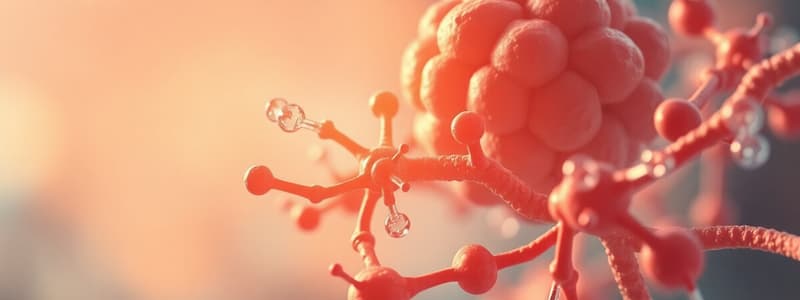 Enzymes and Photosynthesis