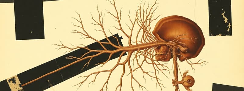 Cranial Nerves - Peripheral Nervous System Part A