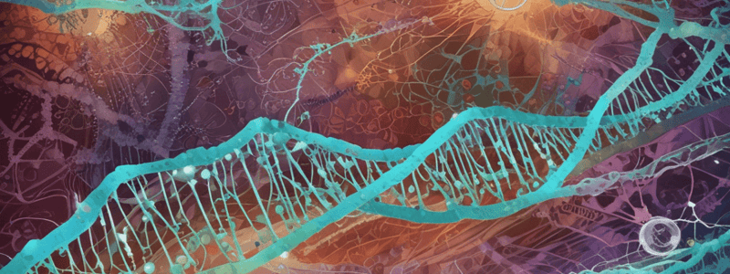 Biochemistry LE 5: Gene Transcription