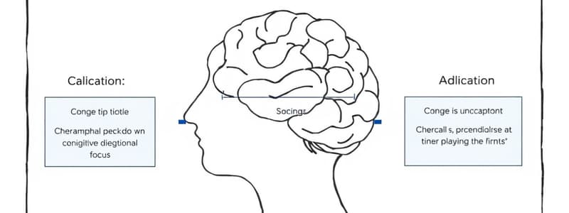 Cognitive Abilities: Piaget's Stages