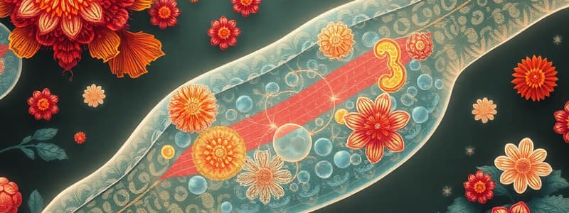 Cell Membrane and Transport Mechanisms