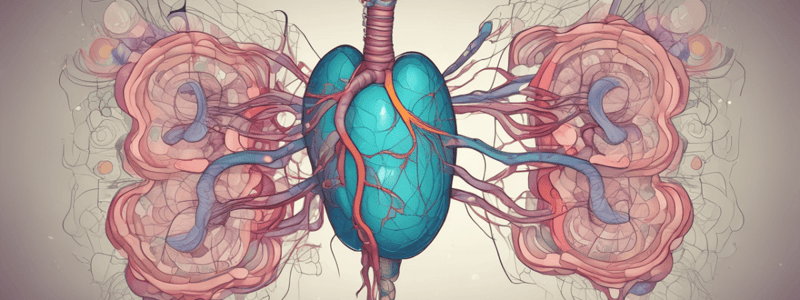 Thyroid Hormone Regulation