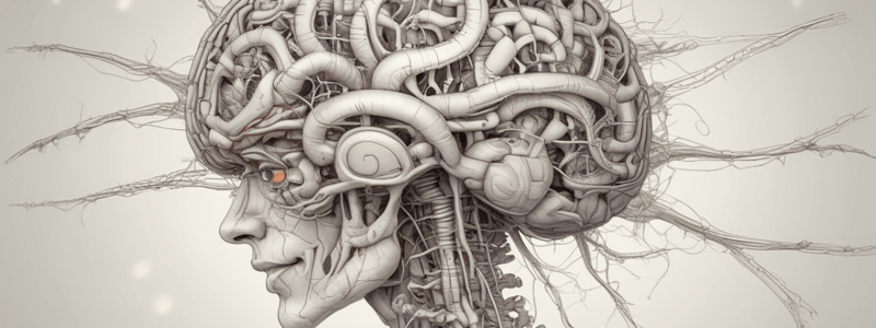 Anatomía del sistema nervioso central