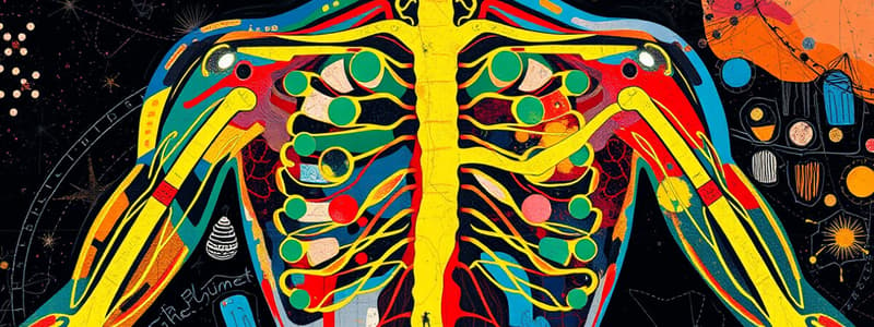 Biology chapter 4.3 Nervous System Functions Overview