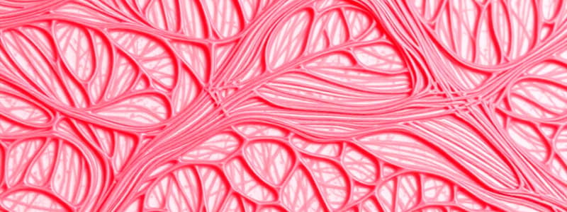 Muscle Tissue Overview and Structure