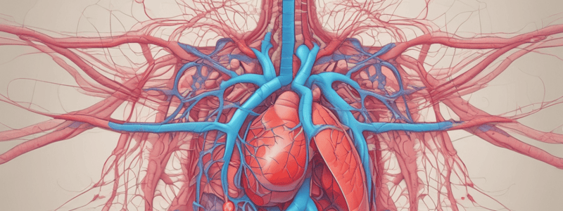 Pulmonary Circulation Characteristics