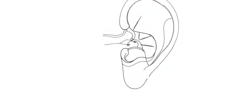 Fisica del Vestibolo e Orecchio Interno (Fisiologia 85)