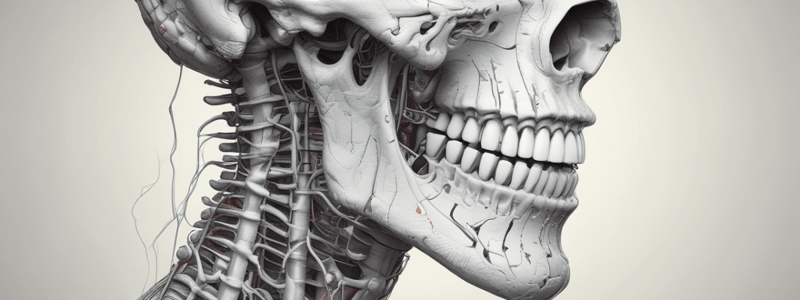 Masticatory Mucosa and Gingiva