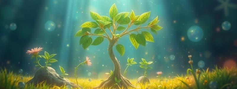 Photosynthesis: Key Concepts