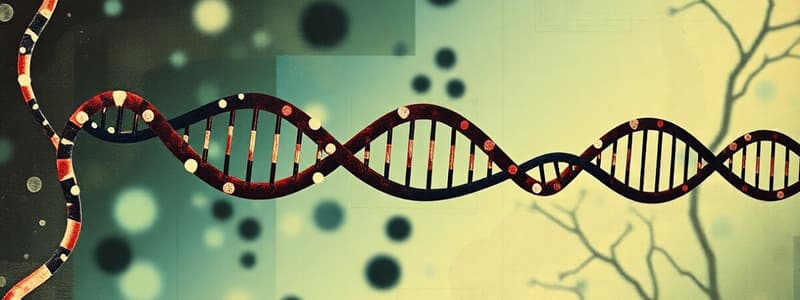 DNA Replication Mechanism Quiz