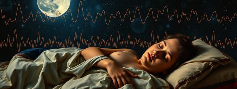 Les Fonctions et Ondes du Sommeil