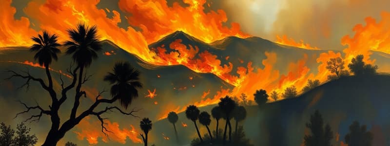 Los Angeles Wildfires, January 2025