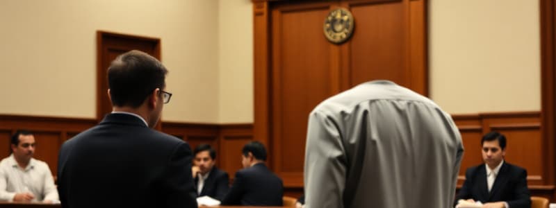 Pretrial Activities and the Criminal Trial