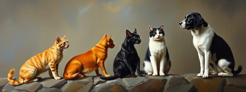 Evolution of Domestic Cats and Dogs