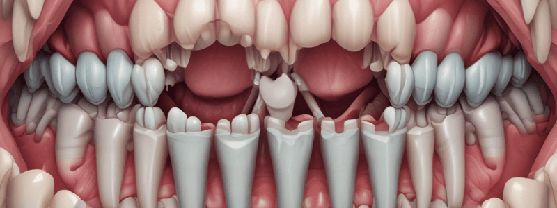 Periodontium Structure and Function