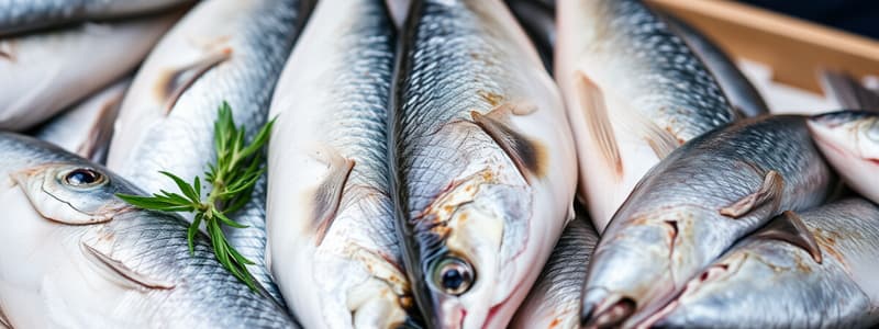 Fishery Products Quality Overview