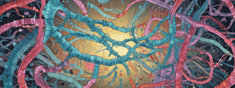 Bacterial DNA Transfer Methods