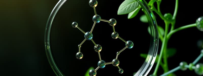 Green Chemistry Principles and Metrics