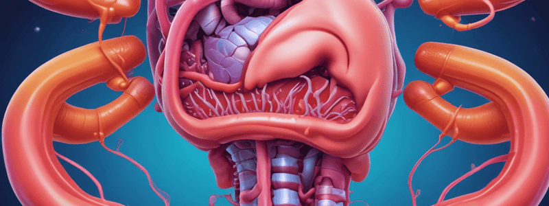 Digestive System