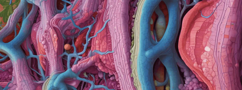 BioSci 107 Lecture 2: Tissues of the Body Epithelium Quiz