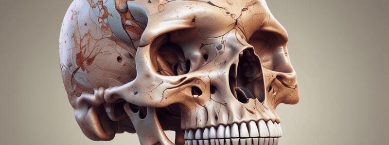 SKULL Vet Prep Structural and Functional Biology Quiz