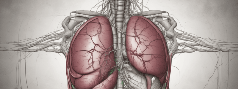 Hepatic Vascular Anomalies Chapter 284