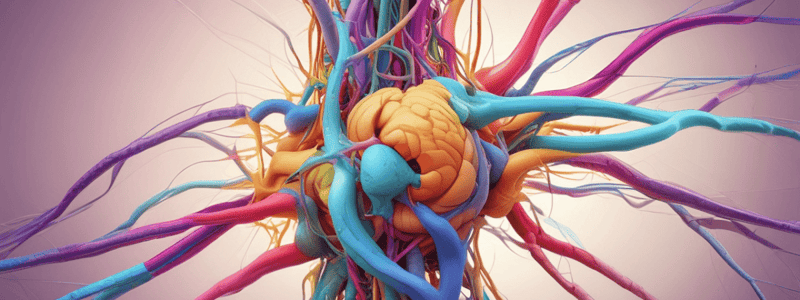 Autonomic Nervous System: Parasympathetic vs Sympathetic Activity