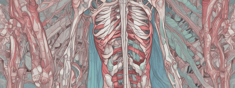 Clinical Anatomy: Cartilage and Connective Tissue