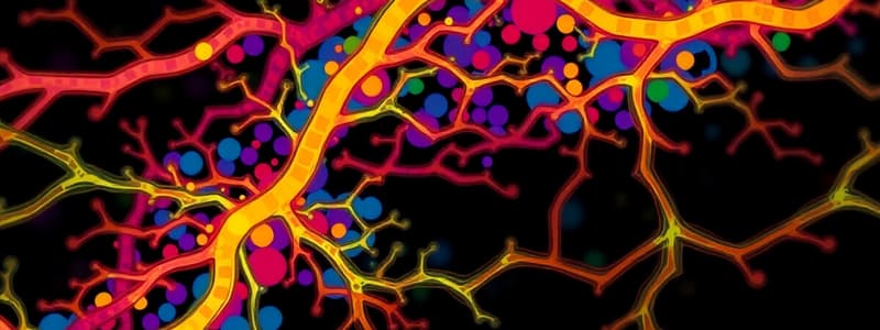 Transporte Axonal y Sistema Nervioso