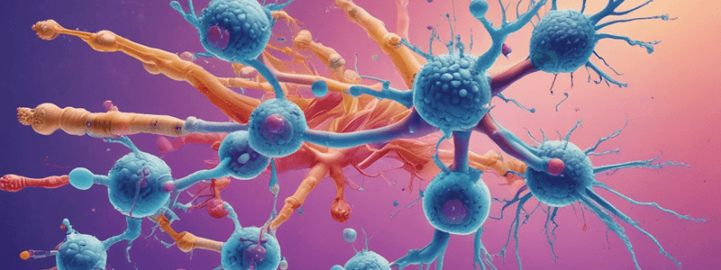 IgG Antibody Functions and Characteristics