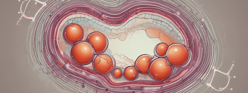 Biology: Triglycerides and Lipid Profile