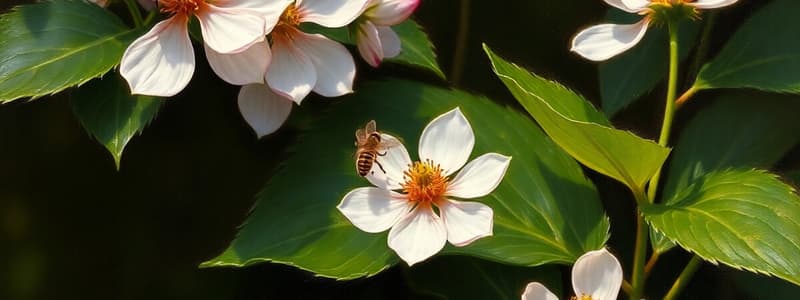 Flowering Plant Reproduction