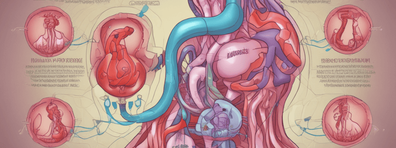 Thyroid Hormones Circulation and Conversion Quiz