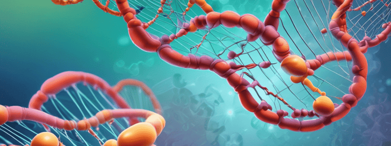 Molecular Biology: RNA Synthesis and Gene Regulation