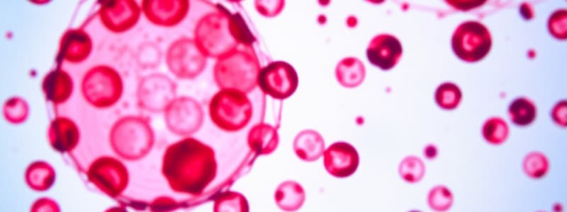 Hematology Quiz: WBC Histogram Analysis