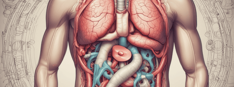 Digestive System and Related Disorders Quiz