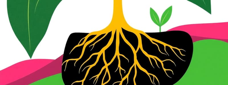 Plant Roots and Their Functions Quiz