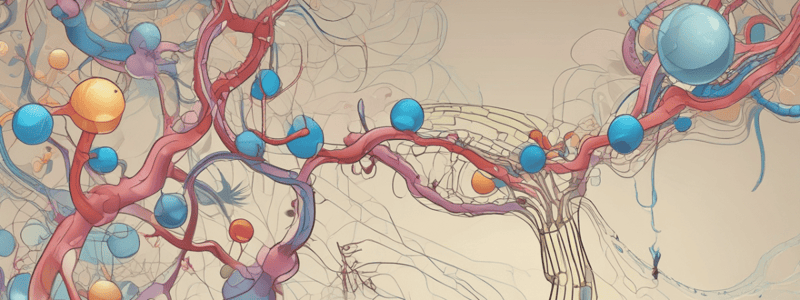 Protein Structure and Function