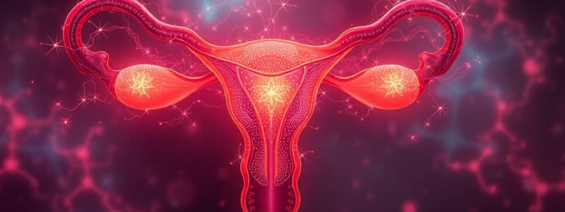 Hormonal Regulation and Menstrual Cycle Quiz