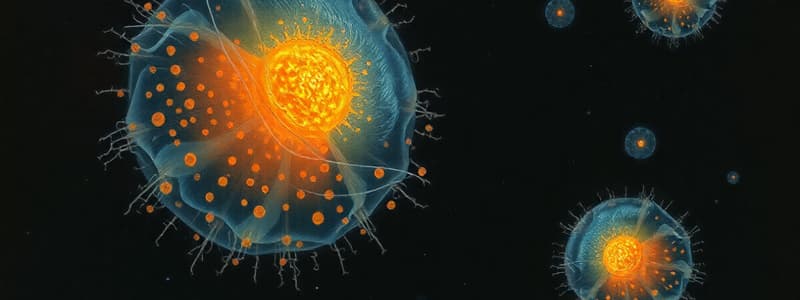 Protozoa: Microscopic Animalcules Quiz