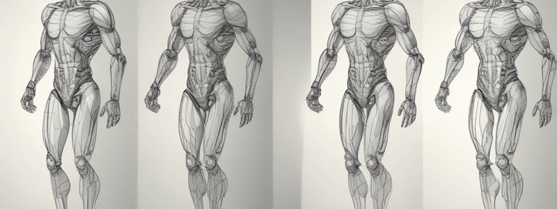 Gait Cycle and Propulsion Phases