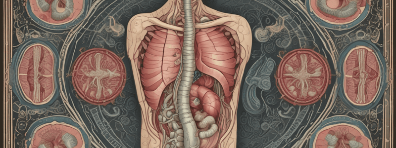 Digestive Tract: Introduction