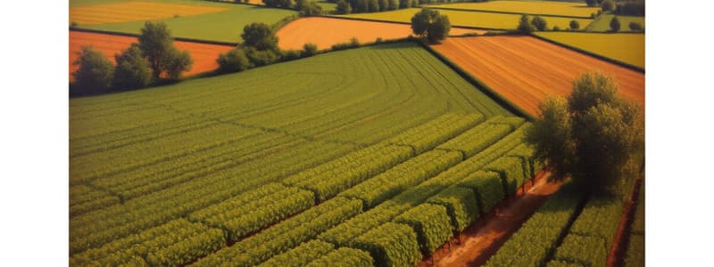 Sistemas de Cultivo y Economía Rural